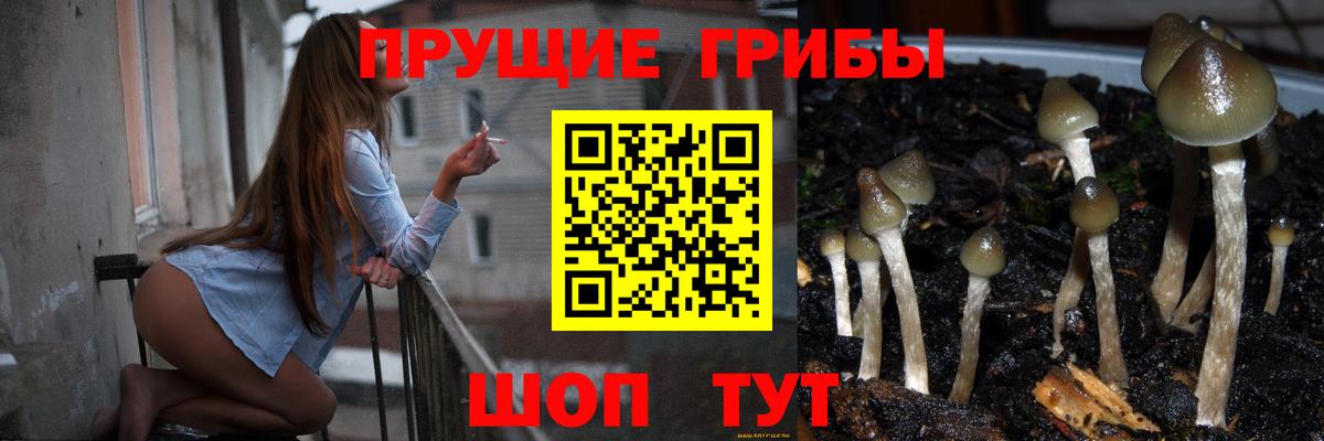 Псилоцибиновые грибы мухоморы  где можно купить наркотик  Апрелевка  Галлюциногенные грибы Psilocybe  Вход с VPN 